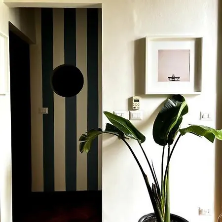 Lavi' Elegante Luminoso